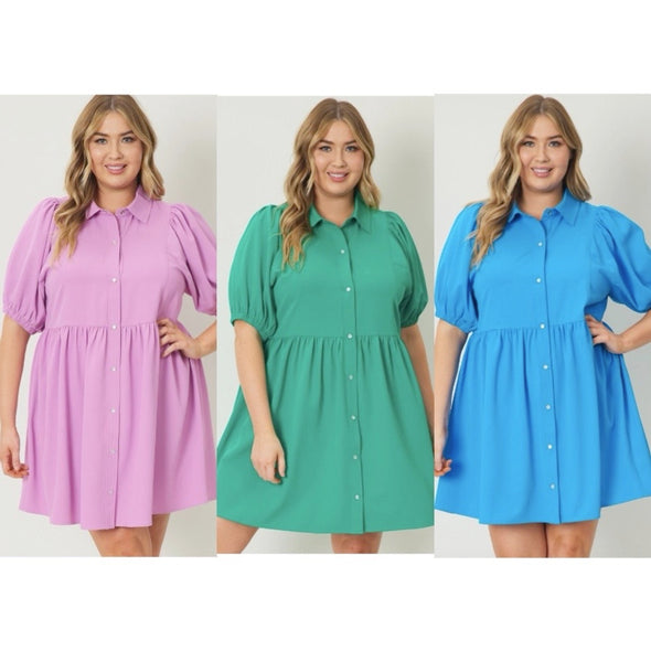 Curvy Poplin Party Dress