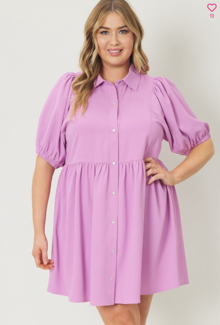 Curvy Poplin Party Dress